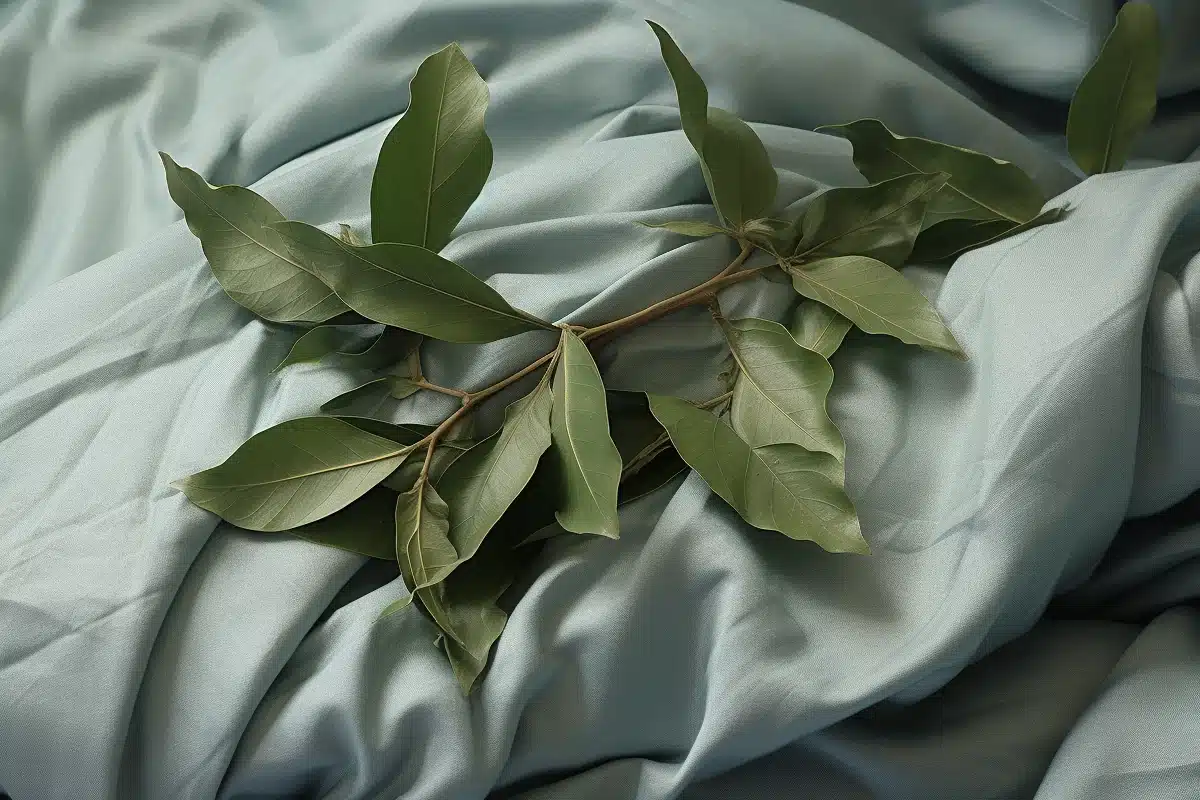 Une photographie réaliste montrant une chambre sereine avec des feuilles de laurier sous les oreillers.