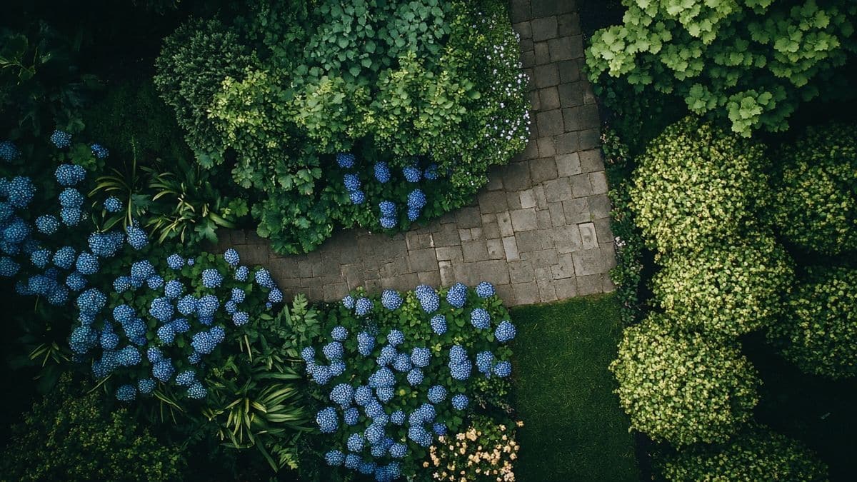 Le couvre-sol ancestral qui transforme votre jardin en tapis bleu spectaculaire dès le printemps