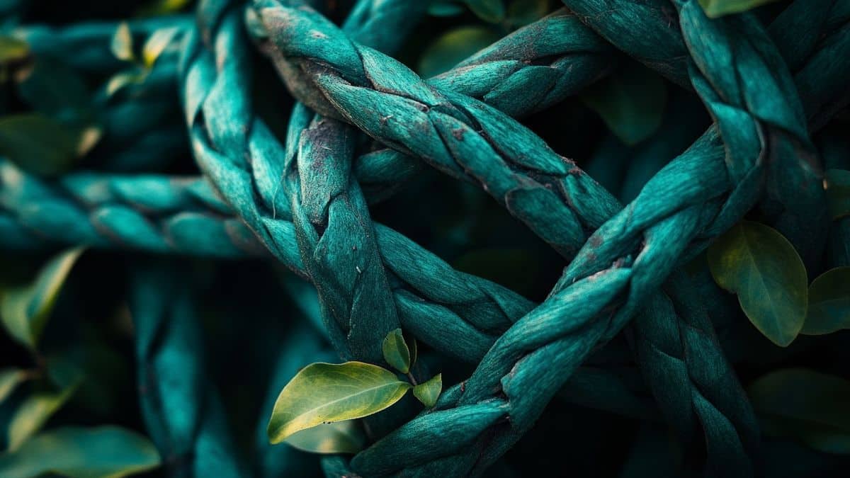 Cette herbe oubliée étouffe les mauvaises herbes et parfume le jardin