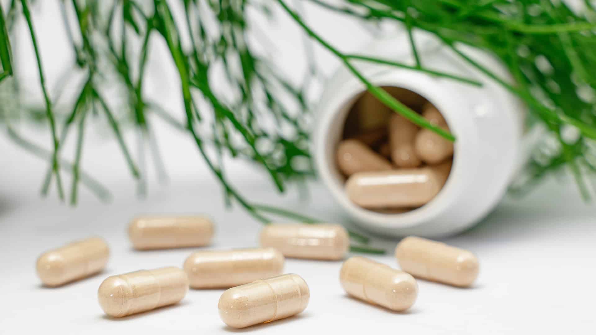 Tout savoir sur les bienfaits du zinc